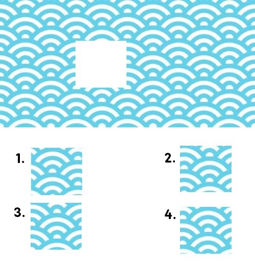 nonverbal question image