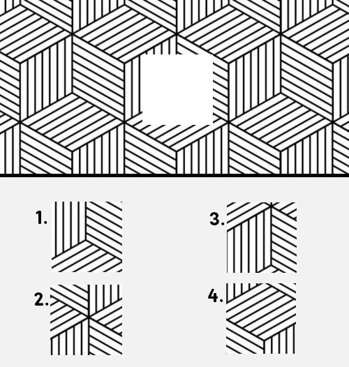 nonverbal question image