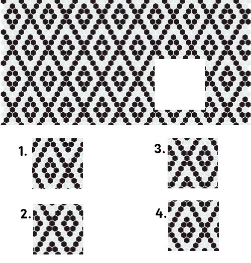nonverbal question image