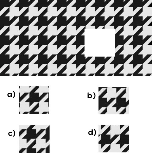 pt1 nonverbal question image